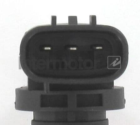 17431_5481030.JPG