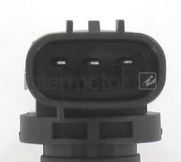 17431_5481030.JPG