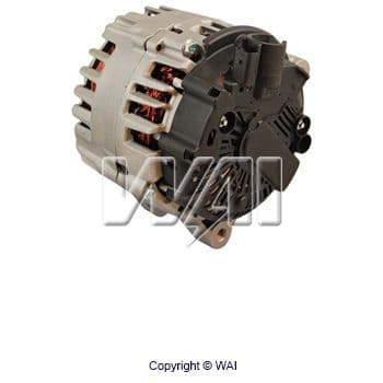 20256N_1742475.JPG