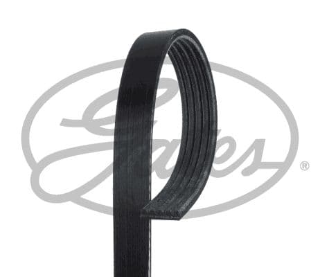 5PK-1_FRO_R-1.JPG