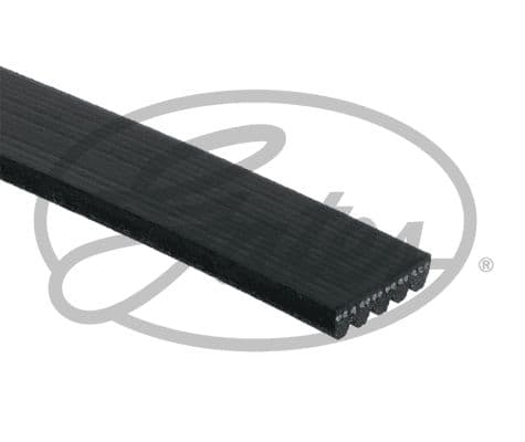 5PK-2_ANG_R-1.JPG