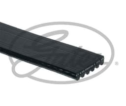 6PK-2_ANG_R-1.JPG