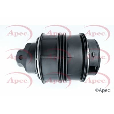 AAS1003.jpg