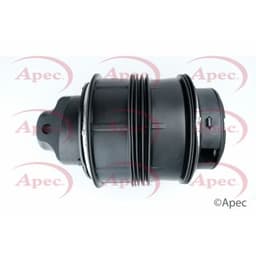AAS1003.jpg
