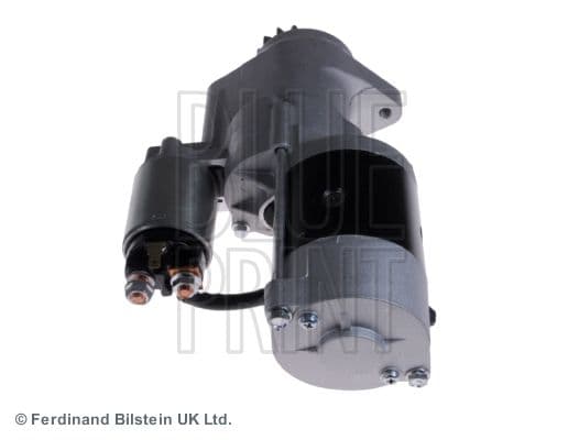 ADN112506_3.JPG