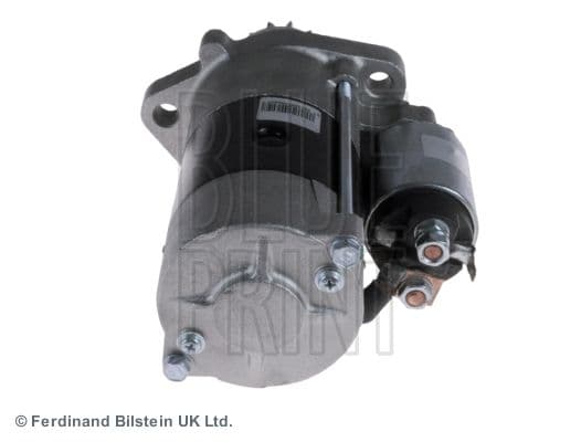 ADN11268_3.JPG