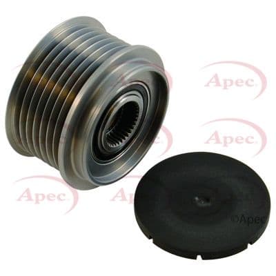 AOP1011-5815677.JPG