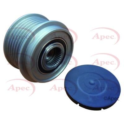 AOP1132-5815797.JPG