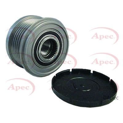 AOP1136-5815801.JPG