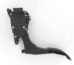 APS052-1384454.jpg