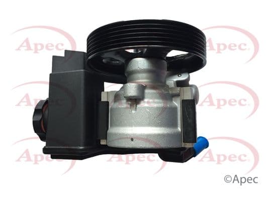 APS1068-5853781.JPG