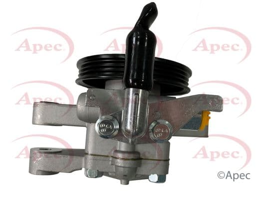 APS1084-5853786.JPG