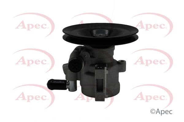 APS1207-5859582.JPG
