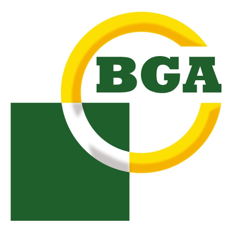 BGA.jpg