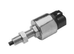 BLS1009-972435.jpg