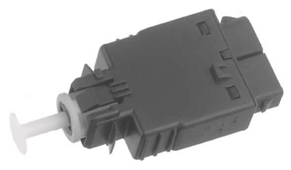 BLS1056-972631.jpg