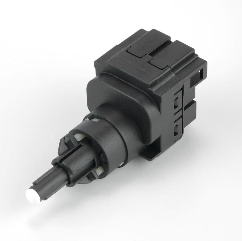 BLS1130-972552.jpg