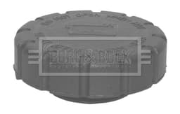 BRC110-185809.jpg