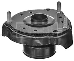 BSM5302-213119.jpg