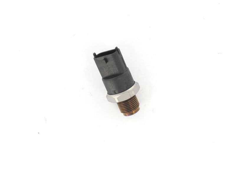 CDS027-1135085.jpg