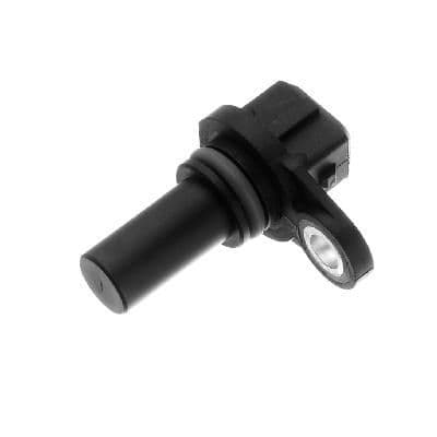 CS1150-968407.jpg