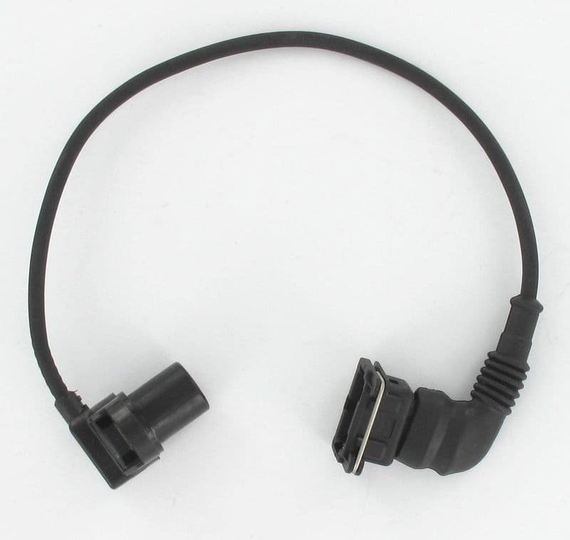 CS1433-2782846.jpg
