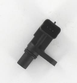 CS1448-4995428.jpg