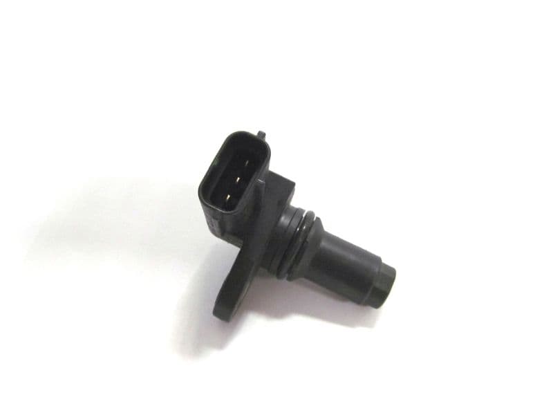 CS1569-968268.jpg