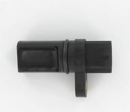 CS1618-2685915.jpg