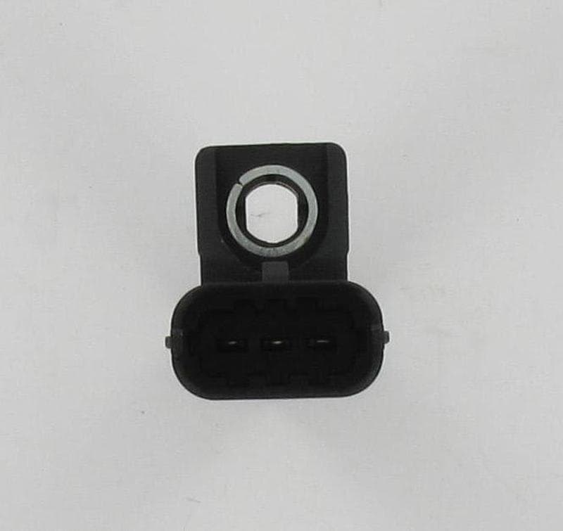 CS1921-4745735.jpg