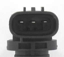 CS1940-5481030.jpg