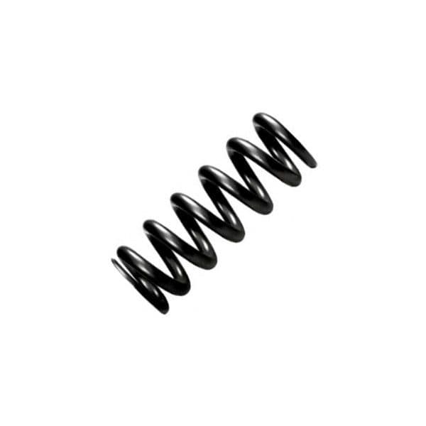 CoilSpring.jpg