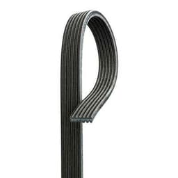 DoubleSidedDriveBelt.jpg
