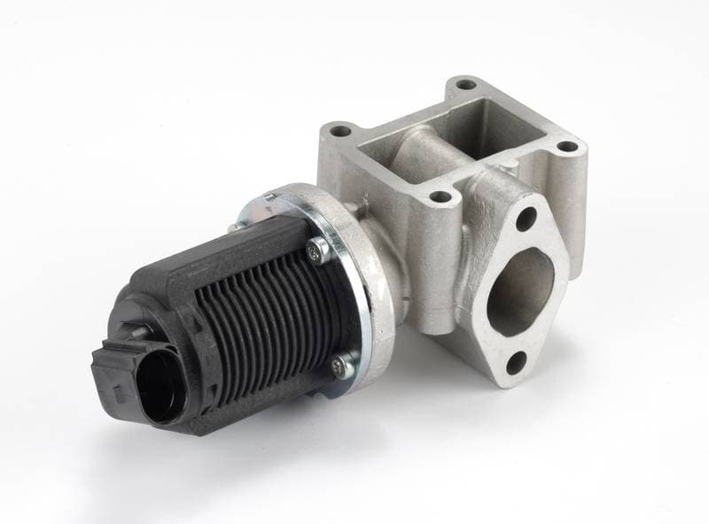 EGR097-967136.jpg
