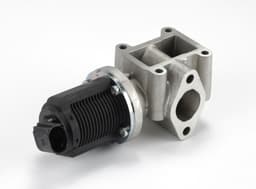 EGR097.jpg