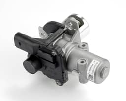 EGR208-967142.jpg