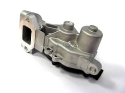EGR349-967292.jpg