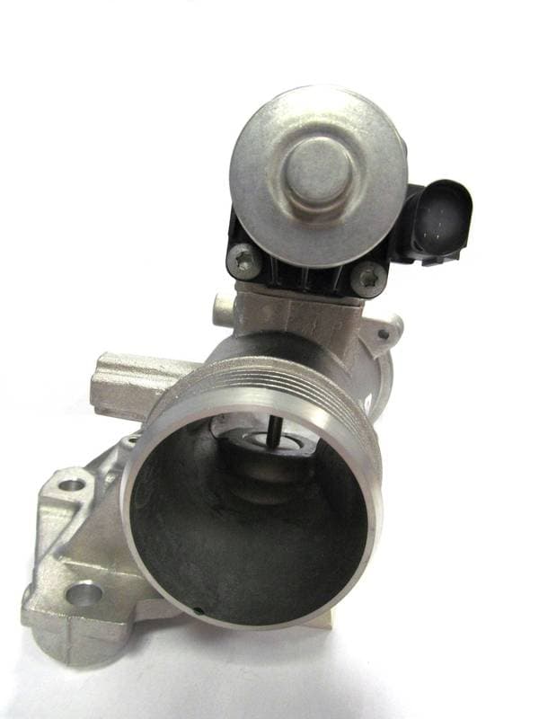 EGR360-968331.jpg
