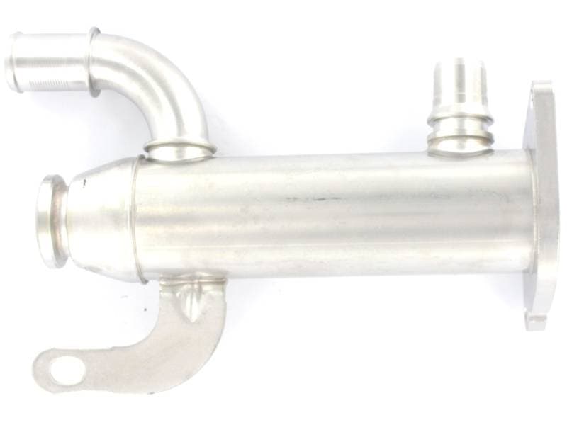EGR424-1065533.jpg