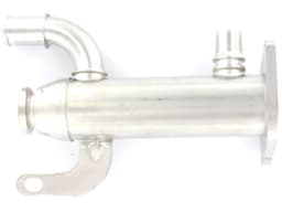 EGR424-1065533.jpg