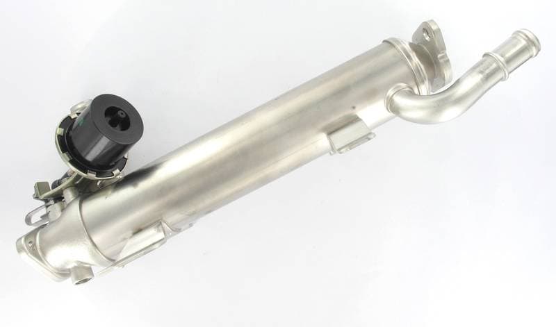 EGR453-1377778.jpg