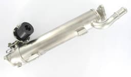 EGR453-1377778.jpg