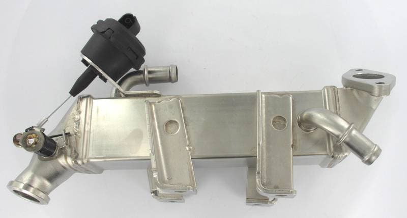 EGR457-3084017.jpg