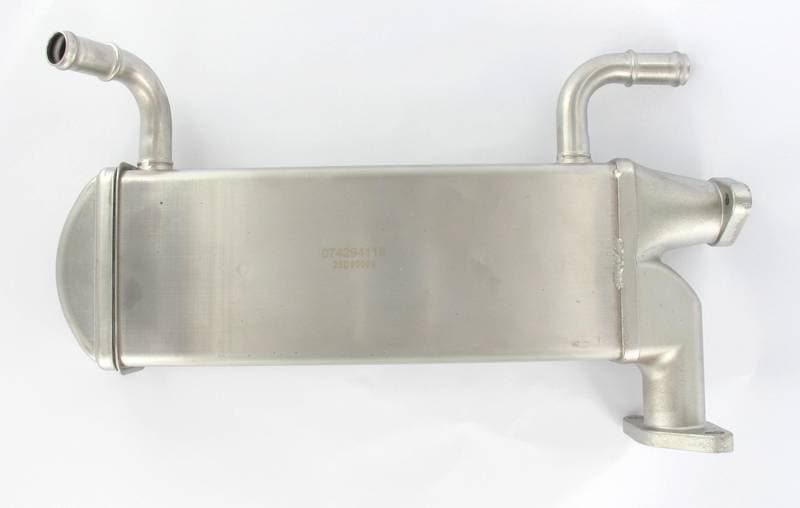 EGR469-2223095.jpg