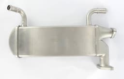 EGR469-2223095.jpg