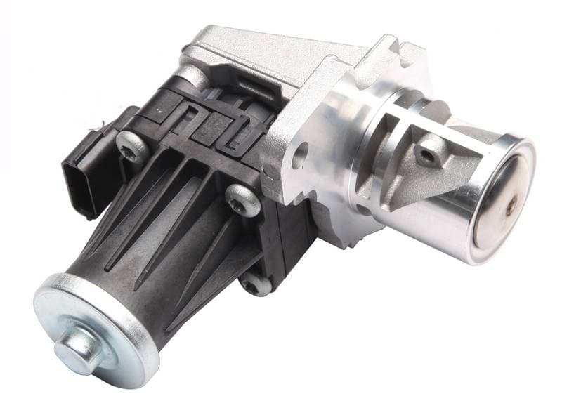 EGR486-5378412.jpg