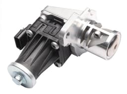 EGR486-5378412.jpg