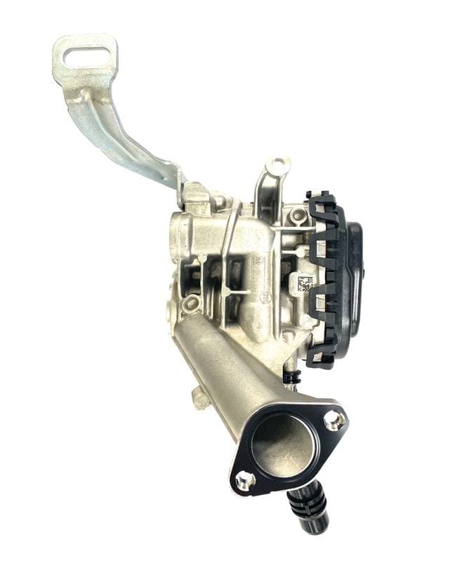 EGR504-5215958.jpg