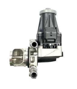 EGR506-5078803.jpg
