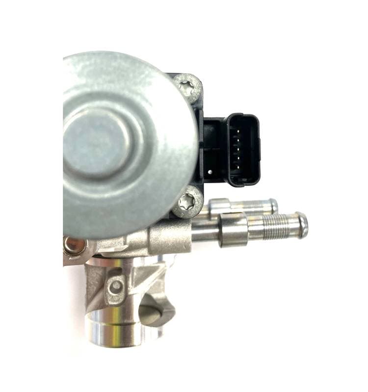 EGR506-5078804.jpg